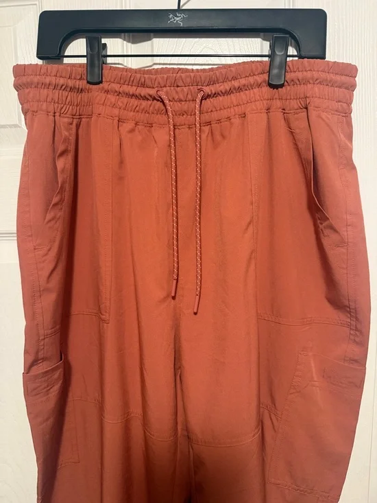 Men's Rust Drawstring Jogger Pants - Picture 4 of 7